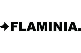 Flaminia logo